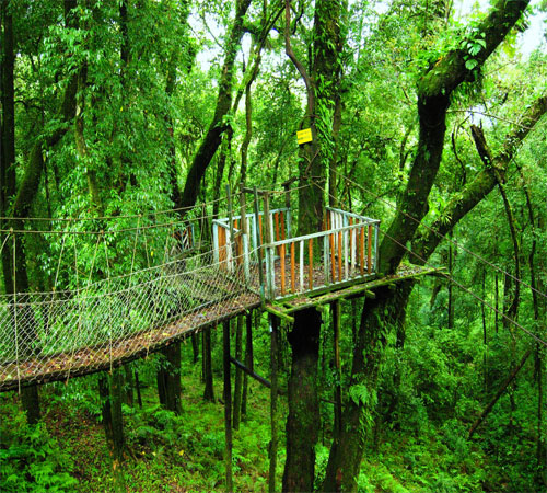 Tranquil Retreat in the Eastern Himalayas: Lava & Lolegaon Exploration Tour