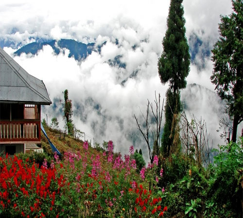 Kolakham Wilderness Retreat: A Tranquil Escape in the Eastern Himalayas