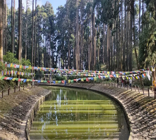 Wonderful Lamahatta: A Serene Escape Amidst the Himalayas
